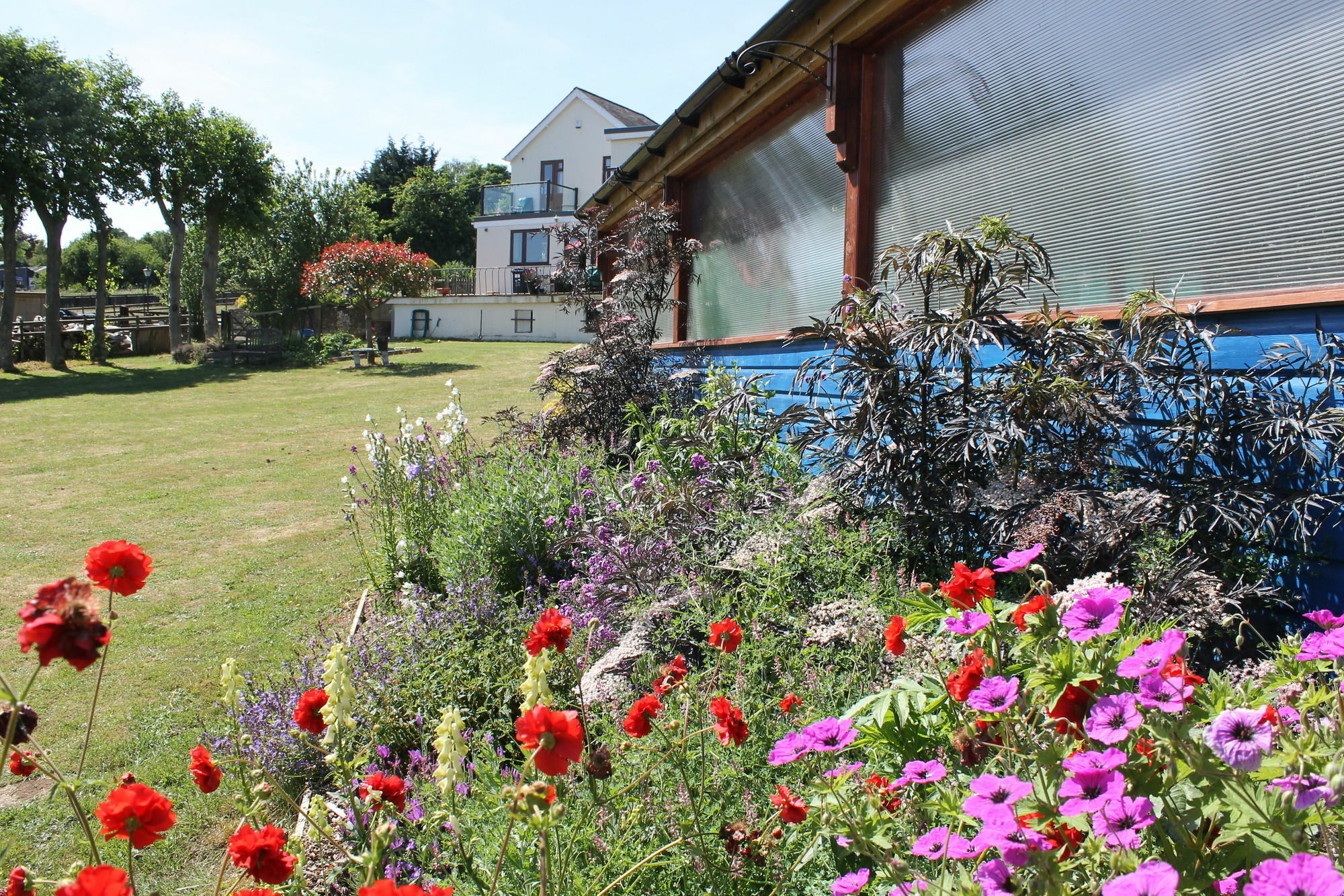 Homelea Bed And Breakfast Canterbury Ngoại thất bức ảnh